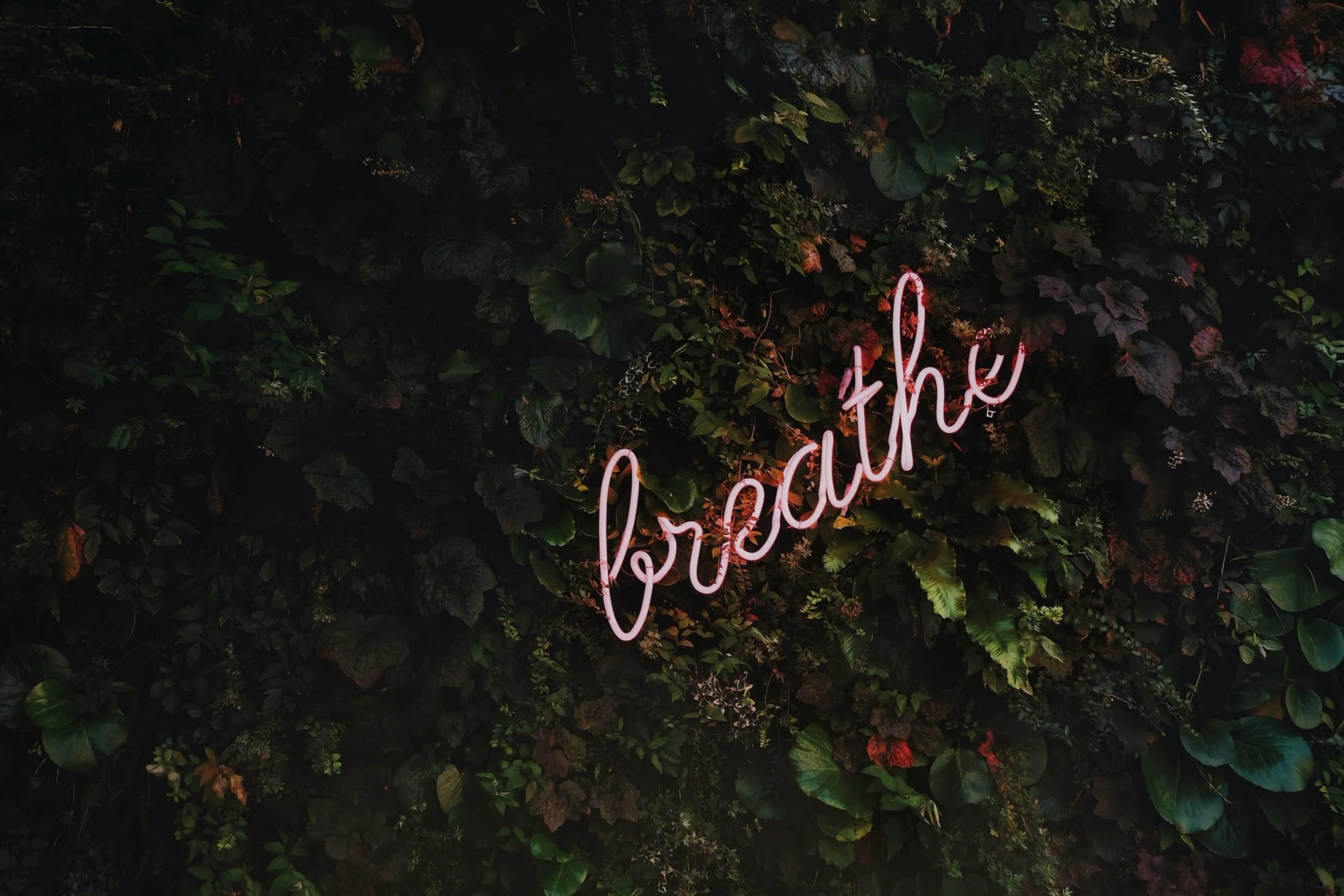 Therapy for Stress | Gofman Therapy and Consulting | Westport, CT